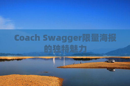 Coach Swagger限量海报的独特魅力